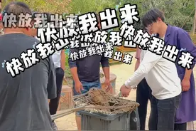 “越狱”卡皮巴拉“豆包”仍在逃，园方升级悬赏奖励，敦促其主动投案：回来过有编制的好日子图片