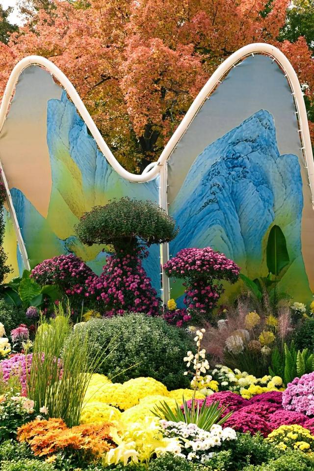 坐地铁，打卡武汉第42届金秋菊展