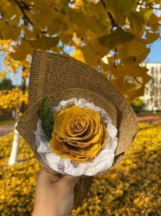 秋日限定“双骄”：从赏到玩转的完整攻略！