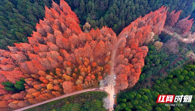 “跟着湘超游怀化”②丨赴一场山水之约 共赏五彩怀化秋韵