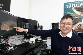 3.9亿年前“珠江源头第一鱼”首次发现 与哈萨克斯坦沟鳞鱼是“姐妹”图片