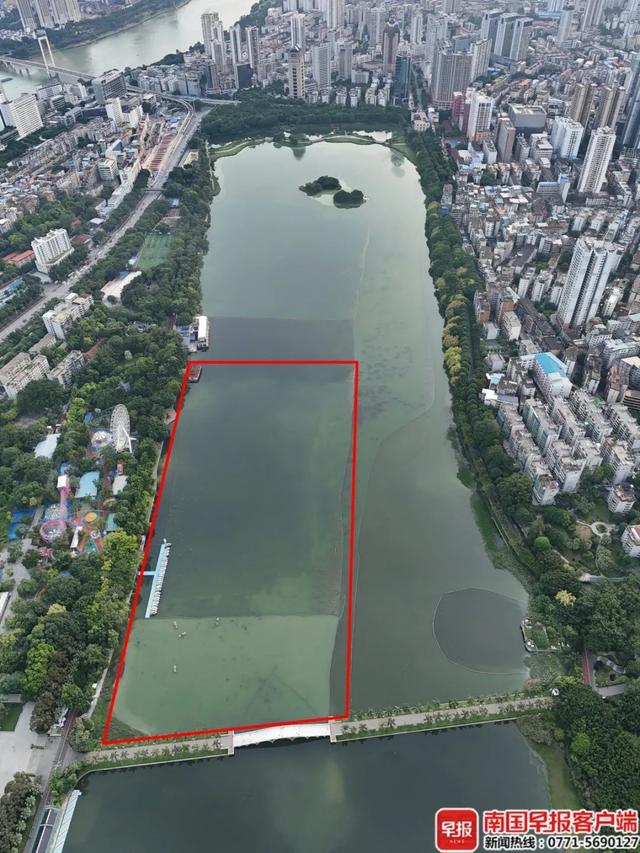 ►南宁南湖公园游船项目重启！负责人回应：不会干扰到鸟类