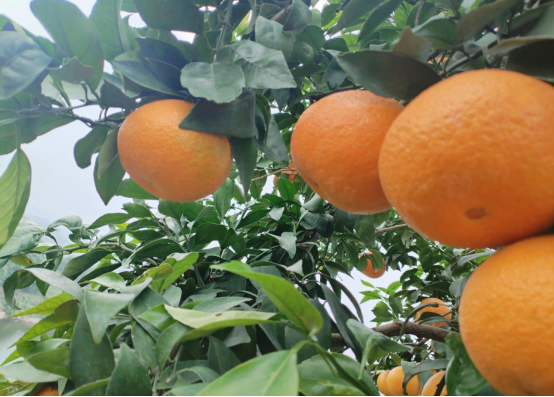 永川“留娃”去处上新→