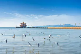 灼言 | 百闻不如一见图片