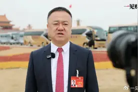 宁夏首富“全国政协委员”资格被撤销图片