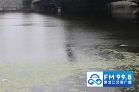 找到了！齐齐哈尔救人的原来是他……图片