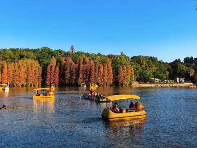 到肇庆，邂逅一场岭南绚彩之冬！