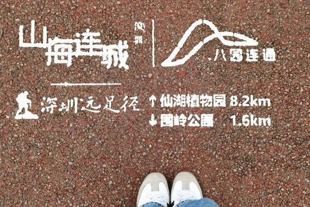 谁说市区没有神仙徒步线？绝美湖岸绿道太香了！