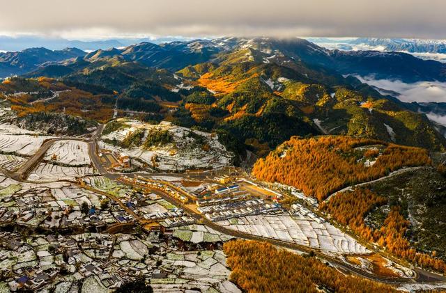 赏彩林不用去川西 凉山的“大兴安岭”，随手一拍就是大片！丨图集