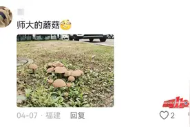 福建紧急提醒：别碰！别吃！福州已有人中毒……图片