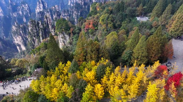 湖南张家界：色彩斑斓天子山