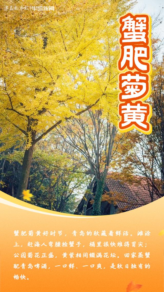 这里是青岛｜青岛秋味，藏在这些成语里