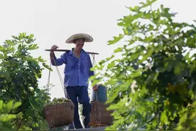 为66—80岁超龄从业人员购买意外险 四川内江用人单位可获全额补贴图片