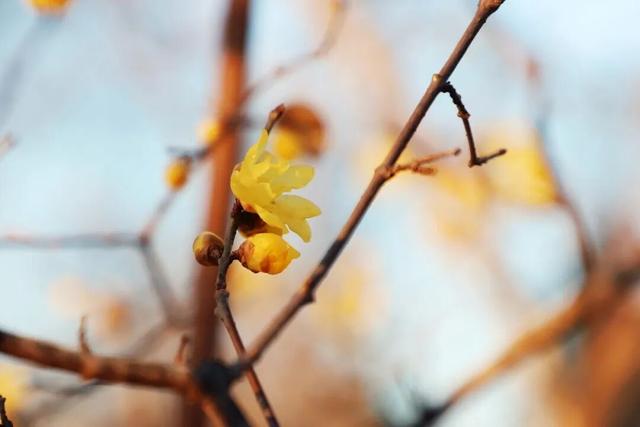 “Mei，我在连云港想开了！”