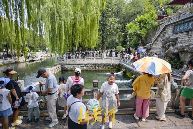 泉涌旺盛带火泉水游，游客争相品尝泉水享清凉