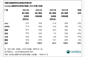 2024年Q2中国智能手机市场分析 增长背后厂商的焦虑图片