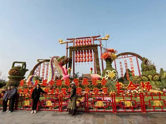 西北首秀绽异彩 米东区获第十五届中国菊花展览会金奖