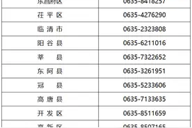 2025年聊城市汽车置换更新补贴实施细则公布图片