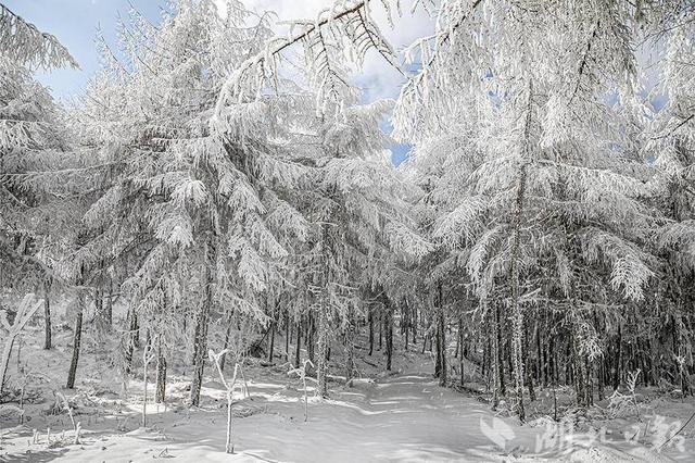 建始：冰雪里的童话世界