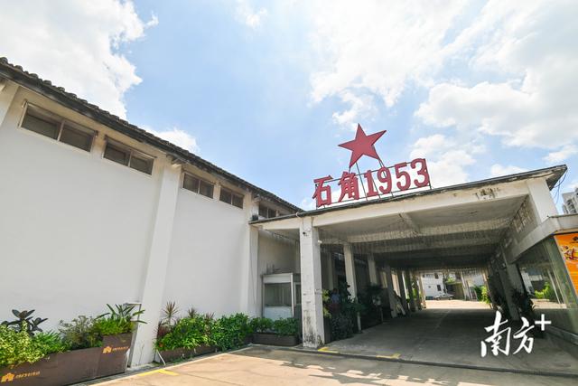 请到清城过暑假｜清城区三天两夜游精品线路③休闲度假·森林活力之旅