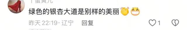银杏叶未黄先落！今年的“满地金黄景”还能看到么？