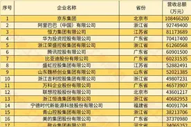2024中国民营企业500强营收总额41.91万亿元，纳税总额达1.29万亿元图片
