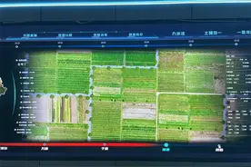探访雄安未来之城场景汇②｜伏羲农场：看见未来农业的模样图片