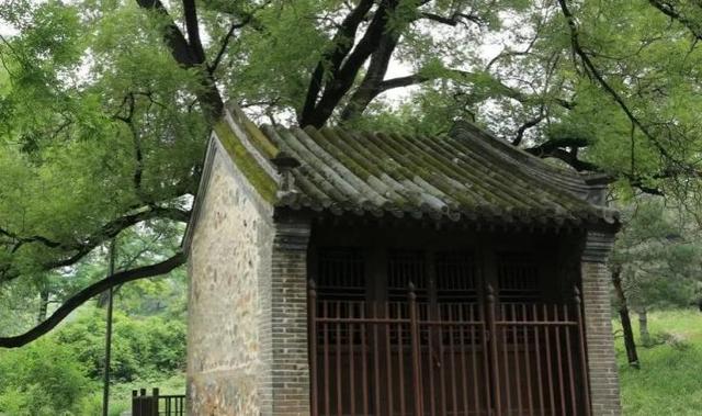 活动招募丨曹雪芹西山故里研学活动