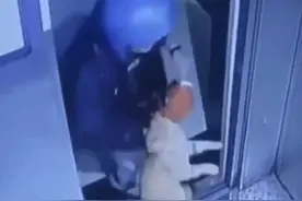 饿了么回应“外卖员从26楼将猫扔下摔死”：已永久清退涉事人员图片