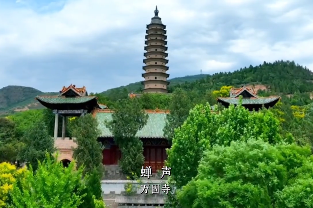 关掉BGM吧！这个夏天，运城大自然的声音比任何音乐都动人