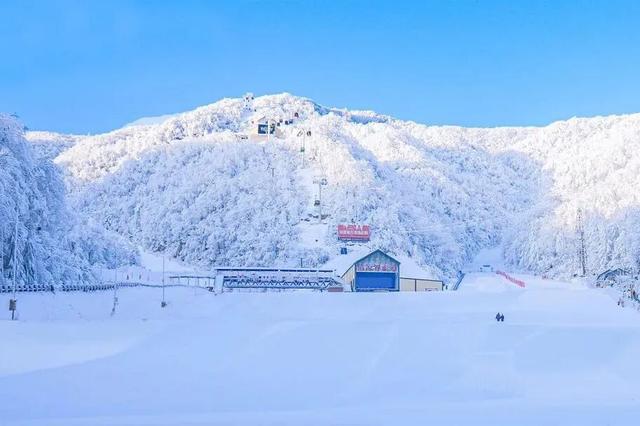 听劝，冬天在洛阳，就要这么玩！