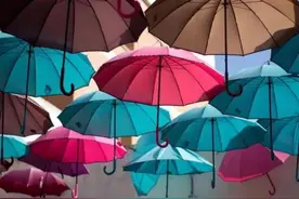 遮阳伞VS雨伞：一伞多用还是各司其职？图片
