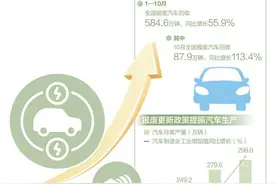 以旧换新，汽车回收产线有点忙（经济新方位·“两新”政策发力显效）图片
