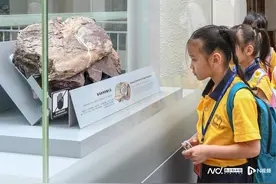 来自白垩纪！首具“港产”恐龙化石展出，发现地赤洲岛已封岛图片