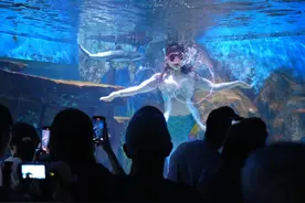 国庆期间活动丰富多彩，到天津·国家海洋博物馆发现海洋的前世今生图片