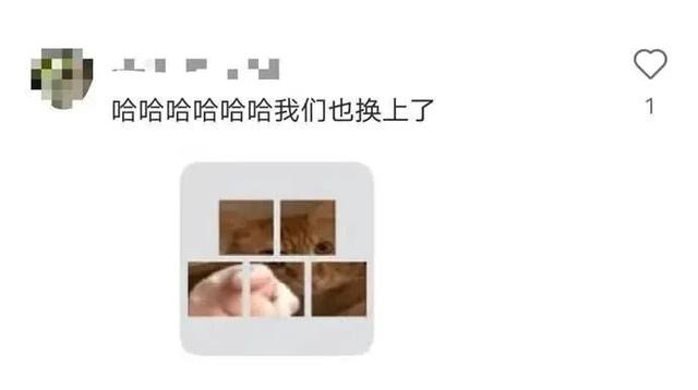 手把手教你换微信群头像！网友：再也不怕发错群了