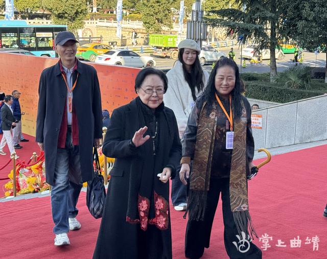 共赴光影之约 同绘澜湄画卷！第七届澜湄国际电影周在云南曲靖举行