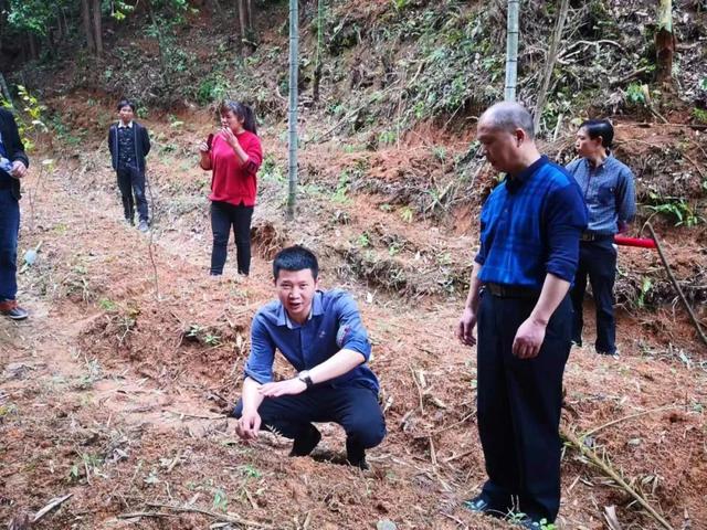 水会生钱，山能淘金！南平光泽这座 “绿色金库” 如何让生态 “变现” →