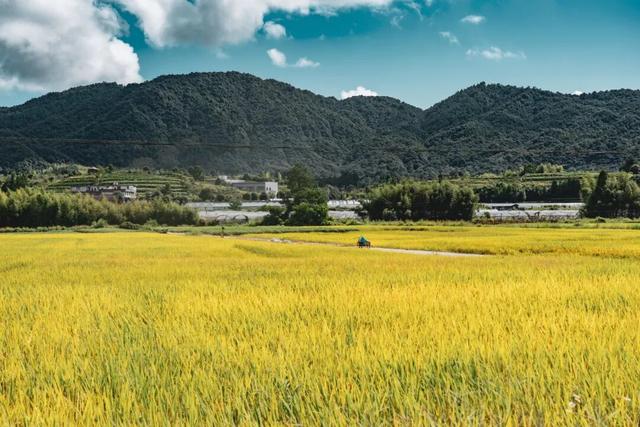 国庆中秋游宁德 | 来柘荣把避世山水一网打尽，“土著”路线先码住！