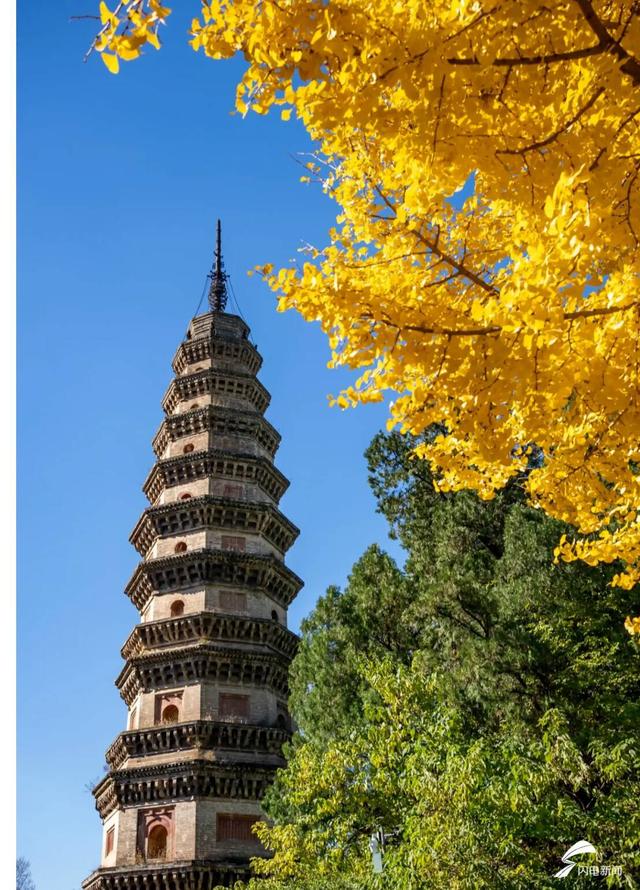 组图丨一大波美图来袭！泰山景区9个赏秋地超出片