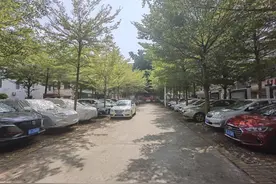 惠州博罗古城改造提速，革命演讲旧址重焕新生图片