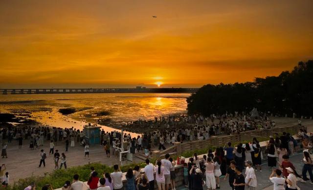 双节“反向旅游”？宝安这几个冷门地，人少景也美