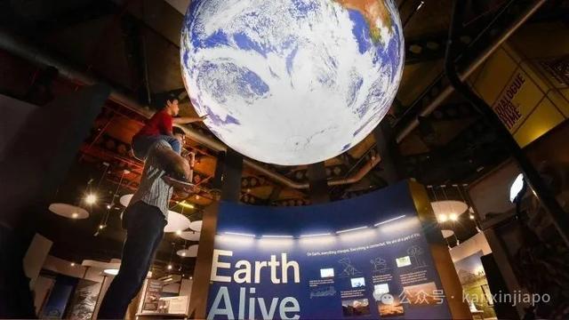 科学馆限免、图书馆免费展、鼯猴营地正式开放……娃都玩不过来了！
