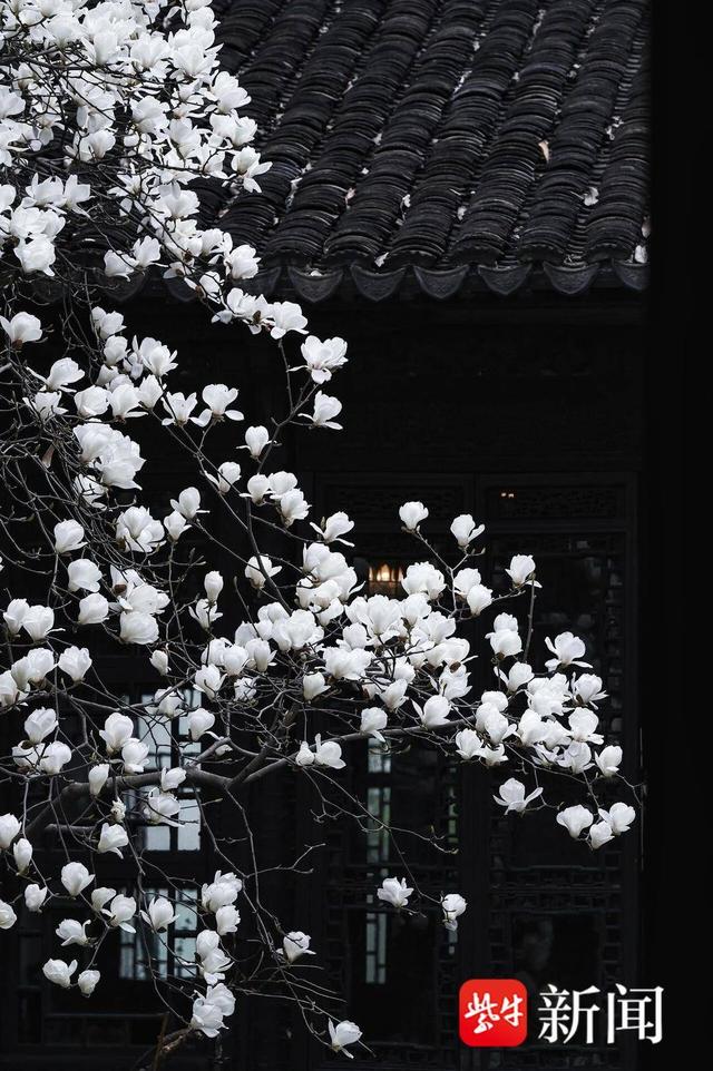 “神秘”的云薖园，正式对外常态化免费开放