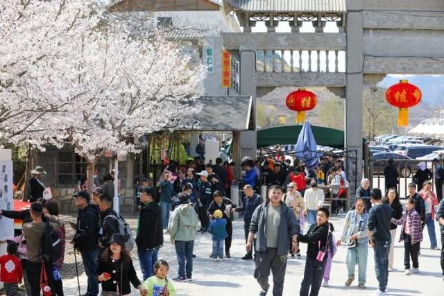 正式官宣！2026淄博潭溪山第八届春花节正式启幕，满山春色等你来！