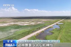 我国已修复沙化地超830万公顷 种菜产粮实现“点沙成金”图片