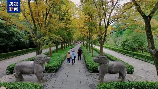 北方多地最美秋色已“上线” 一起感受浓浓秋韵