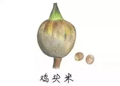 吴江“处暑盲盒”，今日开箱！