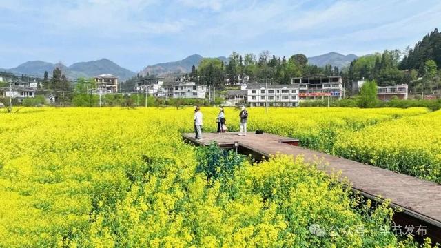 毕节不止有“悬崖村”，这些田园风光更美！