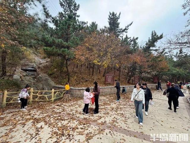 青岛八大关，乌泱泱的人为一件事而来！一款“魔法帽”火了！现场照片→